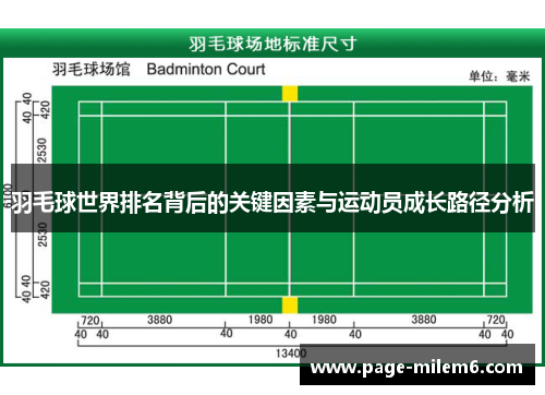 羽毛球世界排名背后的关键因素与运动员成长路径分析