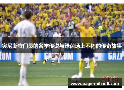 突尼斯守门员的名字传说与绿茵场上不朽的传奇故事