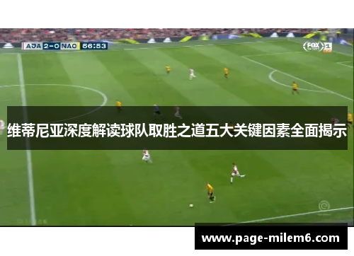 维蒂尼亚深度解读球队取胜之道五大关键因素全面揭示
