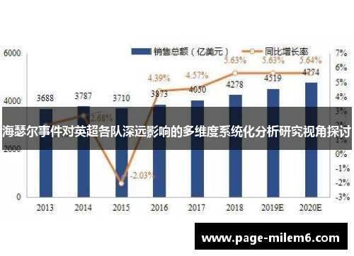 海瑟尔事件对英超各队深远影响的多维度系统化分析研究视角探讨 海瑟尔事件对英超各队深远影响的多维度系统化分析研究视角探讨