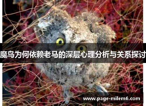 魔鸟为何依赖老马的深层心理分析与关系探讨