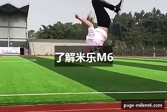 了解米乐M6